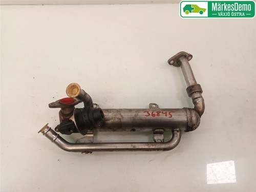 Abgaskühler 03g131512ad - abgaskühler,