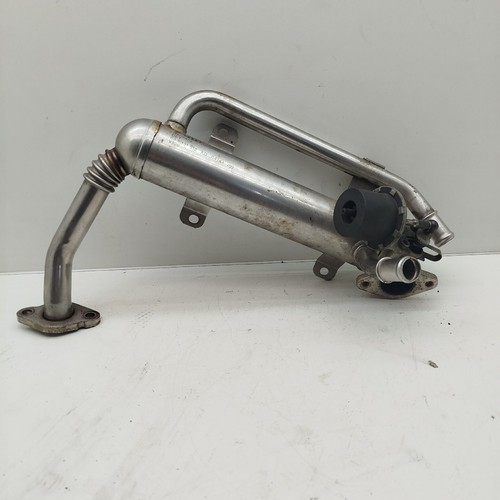 Abgaskühler 03g131512ad - abgaskühler,