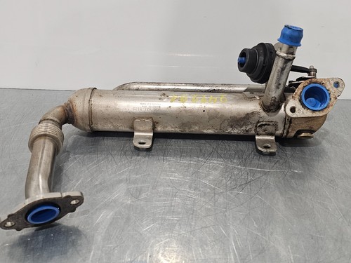 Abgaskühler 03g131512ad - abgaskühler,